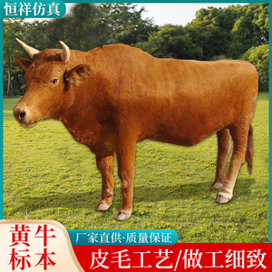 仿真黄牛模型  招财摆件耕地牛  仿真动物水牛奶牛工艺品展示道具