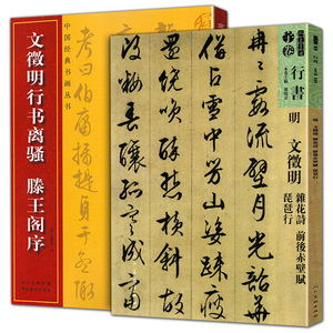 全2册  中国经典书画丛书文徵明行书离骚滕王阁序+文徽明杂花诗 前后赤壁琵琶行硬软毛笔行书书法习字帖 文徵明临摹字帖书