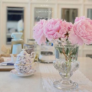 欧式简约玻璃花瓶摆件轻奢北欧客厅创意水养插花透明网红花瓶花器