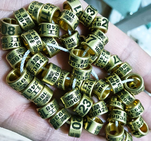 鸽子脚环定制信鸽足环翻翻种鸽高飞私人脚环元宝环鸽子用品用具