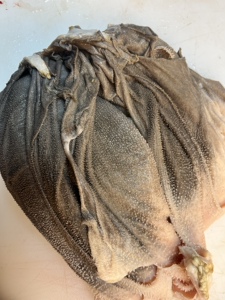 亲水性头部0淘宝新鲜冷冻牛百叶 牛毛肚生牛肚  酒店火锅食材江浙沪