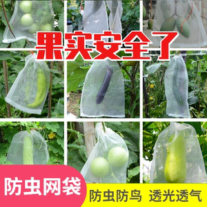 草莓水果果树保护袋葡萄套袋专用袋包瓜果防虫袋防鸟露天尼龙网袋