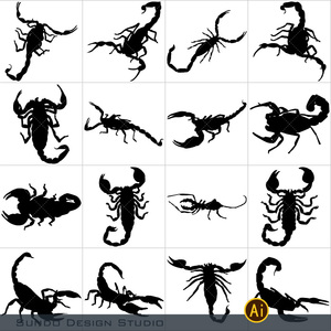 蝎子纹样图片