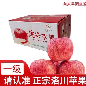 正宗陕西延安洛川苹果红富士现摘当季新鲜水果特级冰糖心整箱10斤