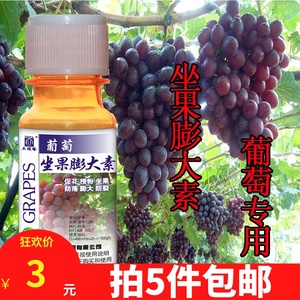 葡萄坐果膨大素膨大剂夏黑膨大技术巨峰葡萄植物生长调葡萄膨大剂