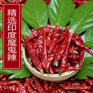 印度魔鬼断魂椒