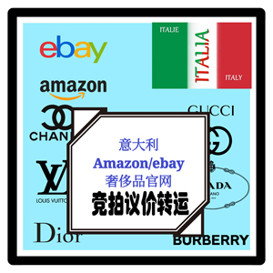意大利代购 转运 直邮欧洲德国法国ebay amazon 竞拍 议价 包税