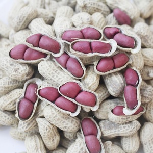 正宗龙岩连城红衣花生带壳红皮新鲜水煮晒干五香白晒盐水原味咸生