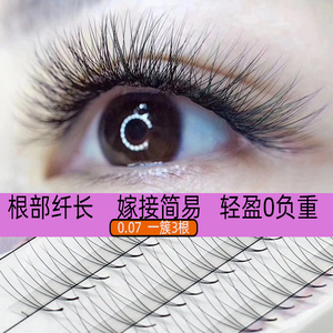 朵毛嫁接睫毛自然超软山茶花