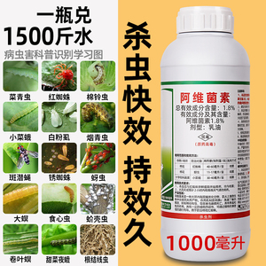农药大全阿维菌素茵素红蜘蛛蚜虫专用月季花卉植物蔬菜通用杀虫剂