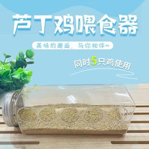 芦丁鸡喂食器防刨放撒喂食器自制塑料瓶自动饮水壶防漏立式下料器