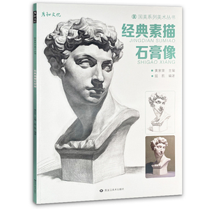 经典素描石膏像临摹书籍人头像物五官精选画册范本美术生专用考级艺考