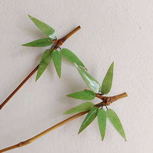 发簪日常简约汉服旗袍竹叶簪热缩片竹枝簪棍天然竹子竹叶主体茶针