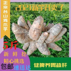 台山鸡爪芋