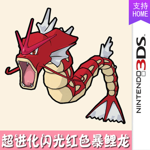 小弘宇淘宝神奇宝贝宠物小精灵毛绒红色闪光蓝色普通暴鲤龙毛绒公仔