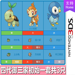 小火焰猴草苗龟