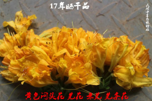 野生中药材闷头花 芫花 赤芫 芫条花 500克 新鲜干货包邮
