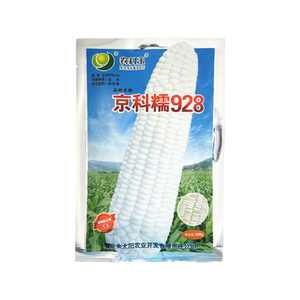 原北京华奥农科玉 京科糯928玉米种子 甜加糯白玉米 加甜糯玉米种