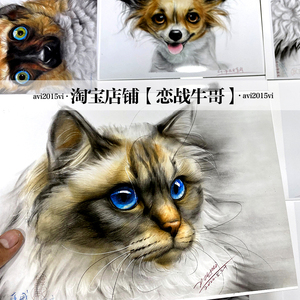 【原创手绘萌宠】a4素描创意彩铅少儿美术精微动物画室美术临摹卡