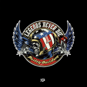 tlp反光车贴 骷髅头盔哈雷摩托机车传奇永生摩托车贴纸徽记队标贴