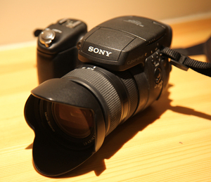 sony/索尼 dsc-r1