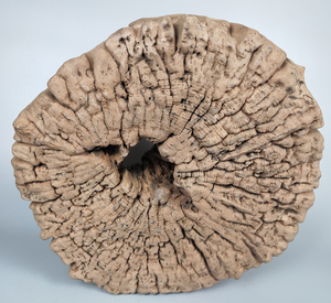 640人付款淘宝烂木头枯木板腐木朽木 自然然风化木装饰品枯木底座禅意