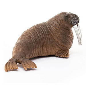 海象14803德国schleich思乐仿真海洋动物模型儿童塑料玩具摆件