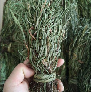 中药材新鲜干货马蹬草正品过桥草还阳草马灯草250克包邮支持药检