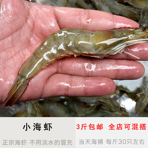 新鲜海虾野生海捕对虾鲜活大虾海鲜水产基围虾白虾青虾明虾约30头