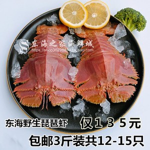 5个/斤 虾姑排毛缘九齿扇虾 东方大虾扁虾排0人付款328
