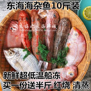 包邮10斤装送半斤东海海杂鱼新鲜冷冻深海鱼海鲜水产品少刺无冰衣