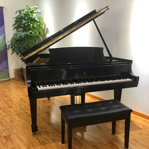 steinway斯坦威m170施坦威美国原装进口三角钢琴专业演奏家用考级