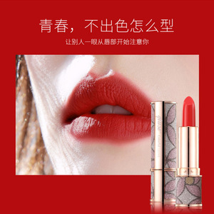 秋色哑光丝绒口红持久不易脱色车厘子色防水滋润保湿不沾杯唇膏女