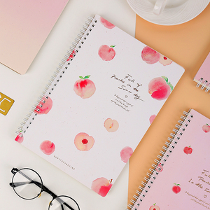 初品侧翻线圈本可爱少女心b5横线本子ourstorybegins小学生笔记本