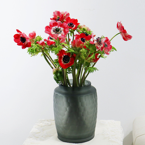 银莲花鲜花家用室内耐养易养型花材春季推荐鲜切花