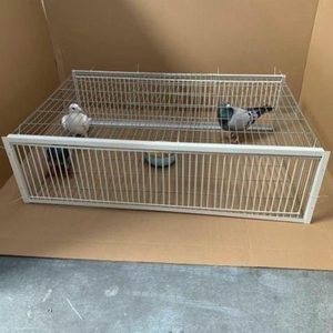 捕鸽神器新款加密天落鸽子笼只进不出自动撞门笼四面埋伏诱捕笼