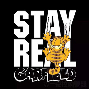 001人付款淘宝五月天贴纸stayreal加菲猫旅行箱贴纸吉