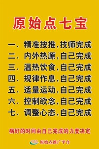 20版原始点七宝中药药性分类蔬食寒热表姜疗 写真图海报多图任选