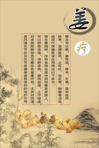 24寸32寸原始点按摩26《姜疗宣传图》写真图海报满百包邮覆膜防水