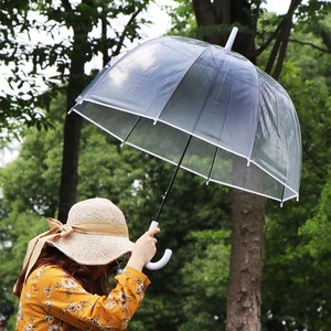 全透明成人儿童雨伞时尚拱形阿波罗拱形鸟笼小清新长柄雨伞