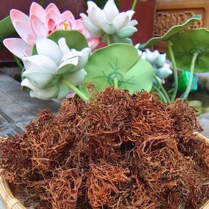 云南大理特产野生树花菜树皮树花树胡子食用凉拌菜山珍农产品250g