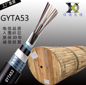 GYTA53光缆GYTA53-4/8/24/48/72/96/144B1GYTY53阻燃线地直埋防鼠