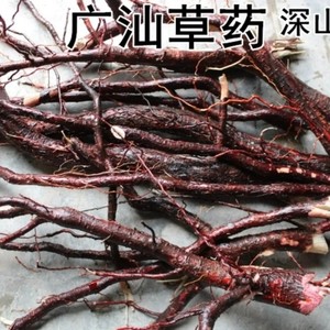 新鲜天然青草苦楝树根 苦练树根 楝枣树根 紫花树 纯根500g包邮