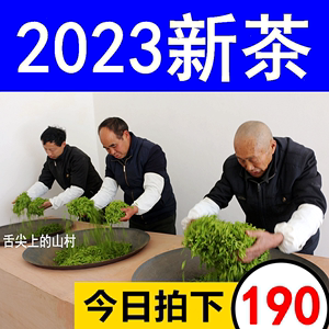 2023新茶湖北五峰芽毛尖茶三峡宜昌明前特级散装茶叶采花绿茶500g