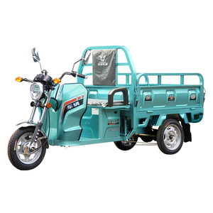 全新正品宗申牌战剑2-130电动车电动正三轮摩托3轮电瓶车可上牌