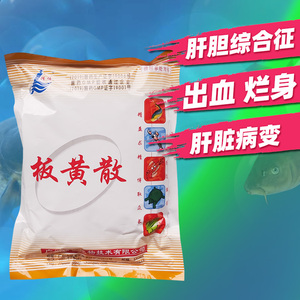 广州精博板黄散水产养殖专用鱼药内服清热解毒肝胆综合症肝胃乐
