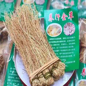 养肝草 龙须根金草农家丝线根草丝 野生干货晒干养生煲汤料10扎