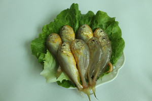 林氏农贸真小黄鱼大头子梅鱼野生捕捞眼亮鳃红