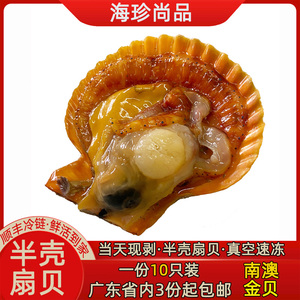 南澳金贝扇贝新鲜活海鲜水产贝壳半壳冷冻带壳无冰衣黄贝烧烤食材