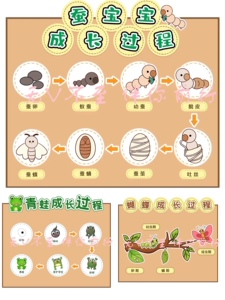 幼儿园主题环创春天蚕宝宝蝴蝶青蛙小蝌蚪的成长过程电子素材jpg